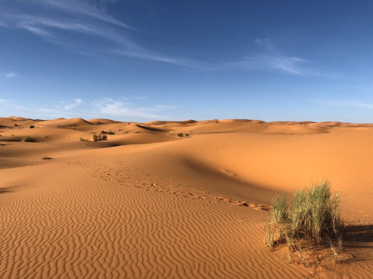 Comprendre le conflit du Sahara occidental