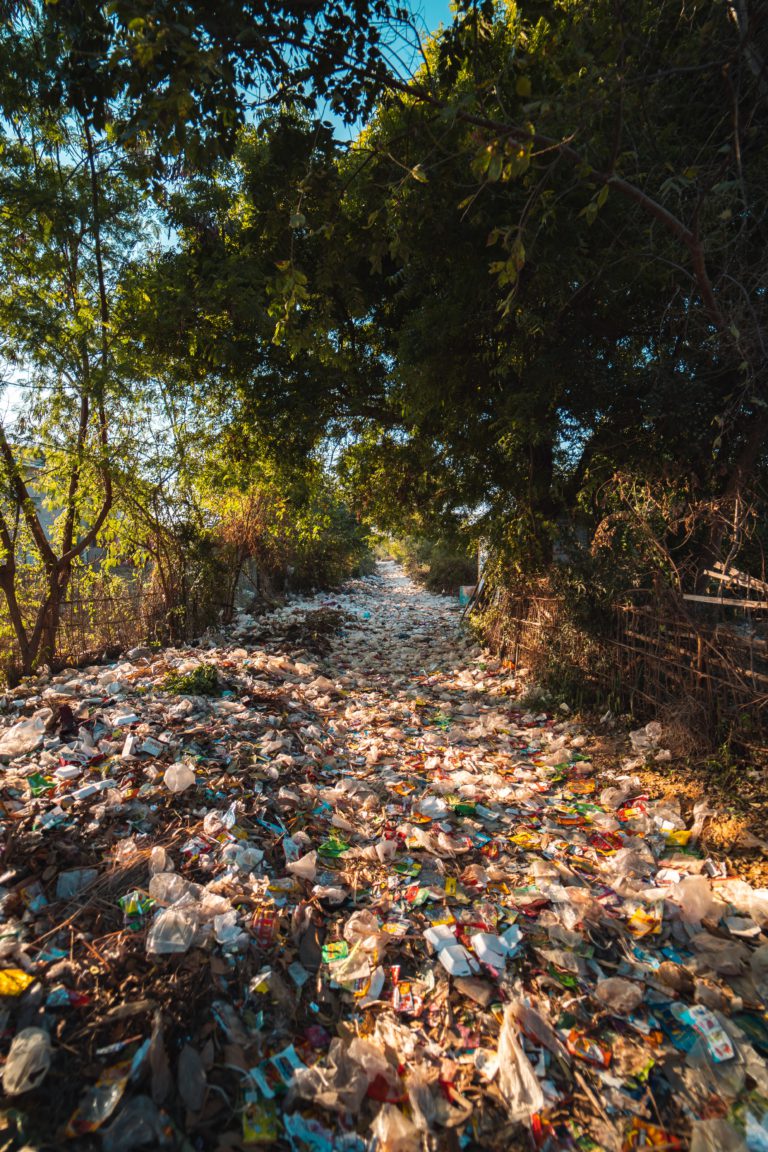 TRAITEMENT VALORISANT ET ECOLOGIQUE DES DECHETS MENAGERS                                                     TRI-RECYCLAGE-COMPOSTAGE